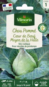 Chou Blanc Cœur de Bœuf Moyen de la Halle